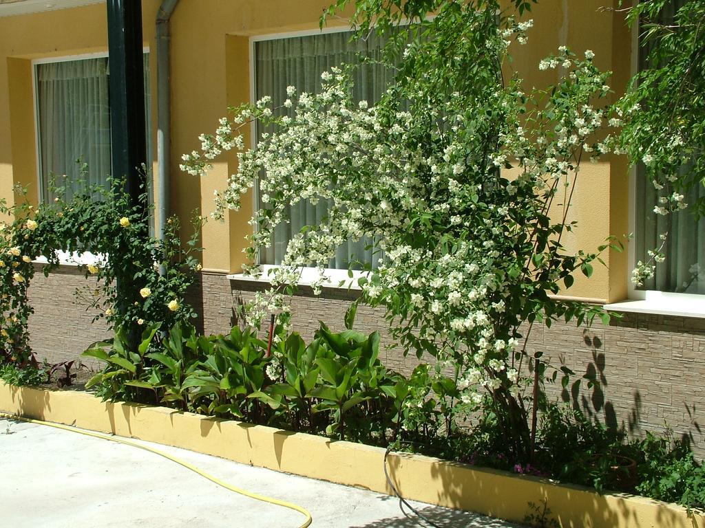 Hotel Río Piscina Priego de Córdoba Exterior foto